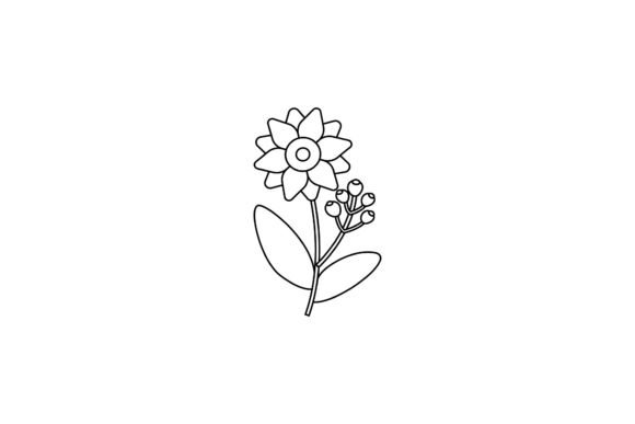 Floral Summer Collection Outline
